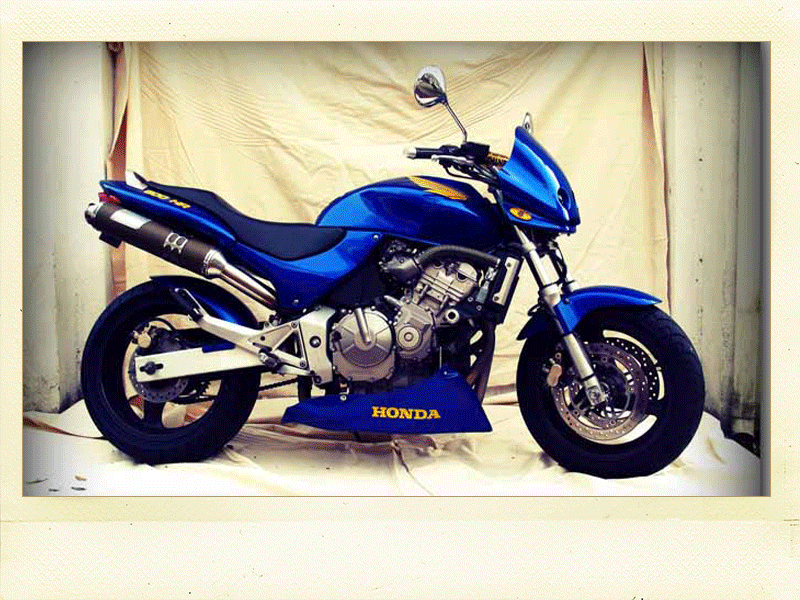 diapo 600 hornet